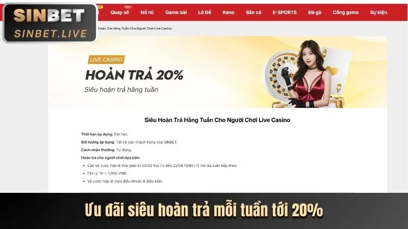 Giao diện đặt cược thân thiện